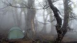 Abenteuerreise: Zwei Jahre Südamerika - Bild 9