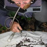 11. GEO-Tag der Artenvielfalt im Wildtierland - Bild 2