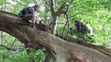 11. GEO-Tag der Artenvielfalt im Wildtierland - Bild 3