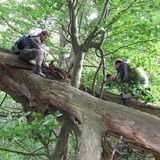 11. GEO-Tag der Artenvielfalt im Wildtierland - Bild 3