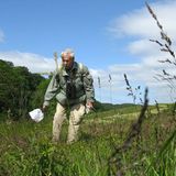 11. GEO-Tag der Artenvielfalt im Wildtierland - Bild 4