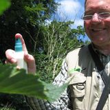 11. GEO-Tag der Artenvielfalt im Wildtierland - Bild 6