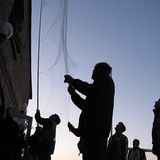 11. GEO-Tag der Artenvielfalt im Wildtierland - Bild 8