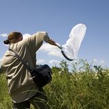 Fotogalerie: Fotogalerie: 11. GEO-Tag der Artenvielfalt - Bild 3