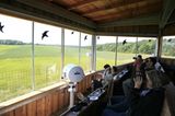 Fotogalerie: Fotogalerie: 11. GEO-Tag der Artenvielfalt - Bild 5