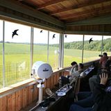 Fotogalerie: Fotogalerie: 11. GEO-Tag der Artenvielfalt - Bild 5