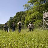 Fotogalerie: Fotogalerie: 11. GEO-Tag der Artenvielfalt - Bild 6