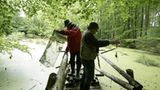 Fotogalerie: Fotogalerie: 11. GEO-Tag der Artenvielfalt - Bild 9