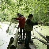 Fotogalerie: Fotogalerie: 11. GEO-Tag der Artenvielfalt - Bild 9