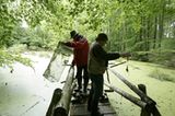 Fotogalerie: Fotogalerie: 11. GEO-Tag der Artenvielfalt - Bild 9