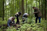 Fotogalerie: Fotogalerie: 11. GEO-Tag der Artenvielfalt - Bild 11