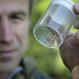 Fotogalerie: Fotogalerie: 11. GEO-Tag der Artenvielfalt - Bild 14