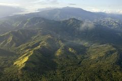 Fotoshow: Philippinenadler - Bild 2