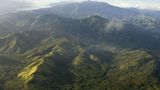 Fotoshow: Philippinenadler - Bild 2