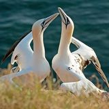 Leserfoto des Tages - Juli 2009 - Bild 3