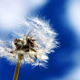 Leserfoto des Tages - Juli 2009 - Bild 4