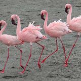 Leserfoto des Tages - Juli 2009 - Bild 7