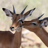 Leserfoto des Tages - Juli 2009 - Bild 9