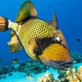 Leserfoto des Tages - Juli 2009 - Bild 10