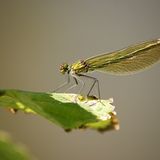 Leserfoto des Tages - Juli 2009 - Bild 11