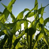 Leserfoto des Tages - Juli 2009 - Bild 12