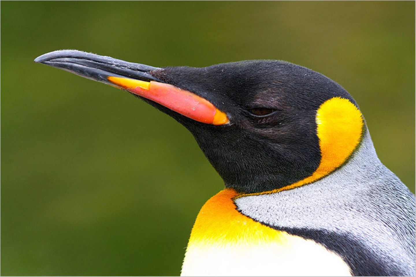 Leserfoto des Tages - Juli 2009 - Bild 14