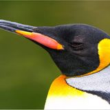 Leserfoto des Tages - Juli 2009 - Bild 14