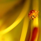 Leserfoto des Tages - Juli 2009 - Bild 16