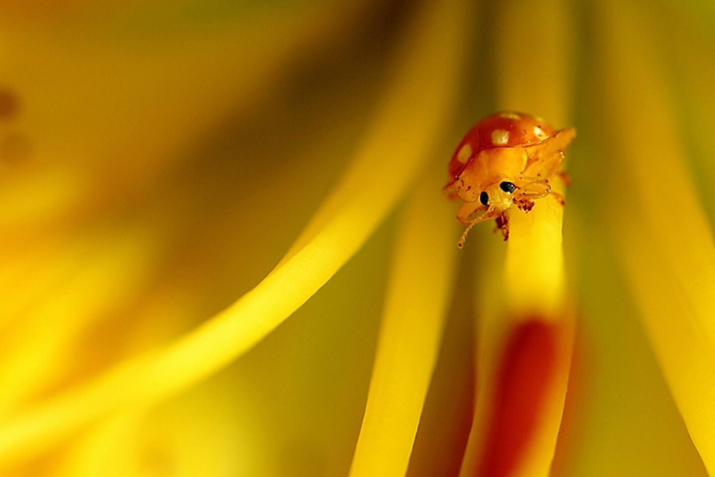 Leserfoto des Tages - Juli 2009 - Bild 16