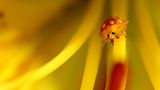 Leserfoto des Tages - Juli 2009 - Bild 16