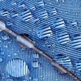 Leserfoto des Tages - Juli 2009 - Bild 17