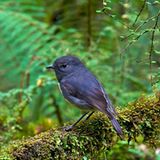 Leserfoto des Tages - Juli 2009 - Bild 18