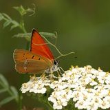 Leserfoto des Tages - Juli 2009 - Bild 20