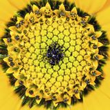 Leserfoto des Tages - Juli 2009 - Bild 21