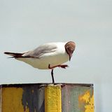 Leserfoto des Tages - Juli 2009 - Bild 22