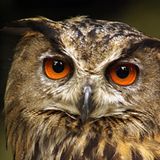 Leserfoto des Tages - Juli 2009 - Bild 23