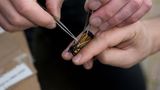 Monarchfalter: Wanderer mit Hightech-Nutzlast - Bild 3