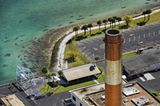 Fotoshow: Florida-Seekühe - Bild 7
