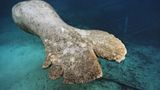 Fotoshow: Florida-Seekühe - Bild 9