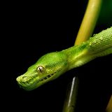 Leserfoto des Tages - August 2009