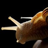 Leserfoto des Tages - August 2009 - Bild 2