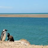 Leserfoto des Tages - August 2009 - Bild 3