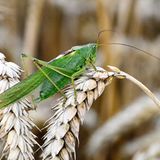 Leserfoto des Tages - August 2009 - Bild 5