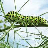 Leserfoto des Tages - August 2009 - Bild 8