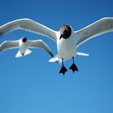 Leserfoto des Tages - August 2009 - Bild 9