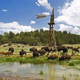 Leserfoto des Tages - August 2009 - Bild 10