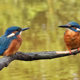 Leserfoto des Tages - August 2009 - Bild 12