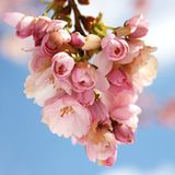 Leserfoto des Tages - August 2009 - Bild 14