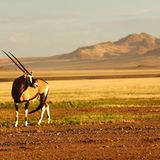 Leserfoto des Tages - August 2009 - Bild 16