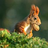 Leserfoto des Tages - August 2009 - Bild 18